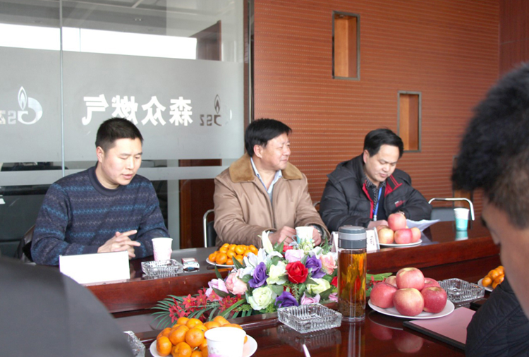 林口县政府与半岛·官方版web站入口-半岛网(中国)燃气项目洽谈.png